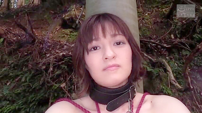 Shy Asian Gf Submits To Humiliating Blowjob On-Camera