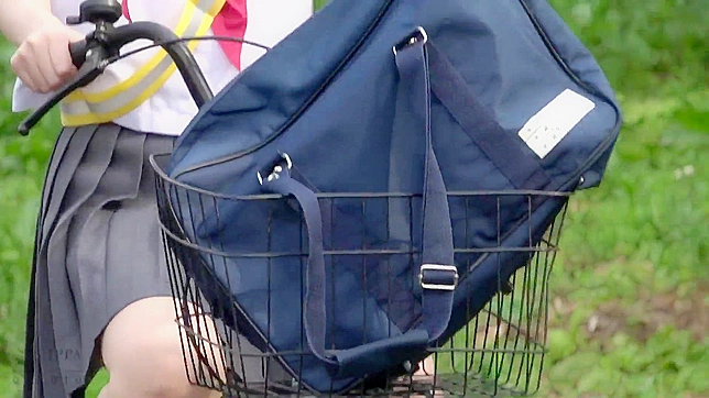 Submissive Asian Beauty In Lace Submissively Sucks And Gets Hard Fucked From Rear