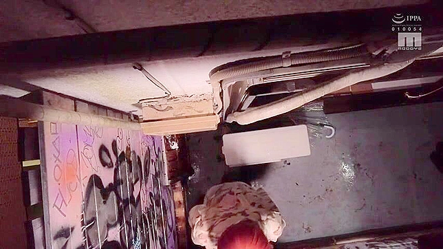 Tied Japanese Beauty Endures Rough Slave Sex Fantasies