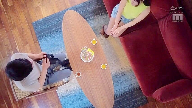 Japanese Teen 18+ in Lingerie Faces Humiliating Sexual Playtime