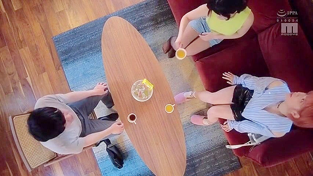 Japanese Teen 18+ in Lingerie Faces Humiliating Sexual Playtime