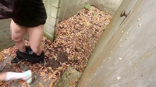 Hungry Japanese Student Gets Plowed By Big Dick After Class