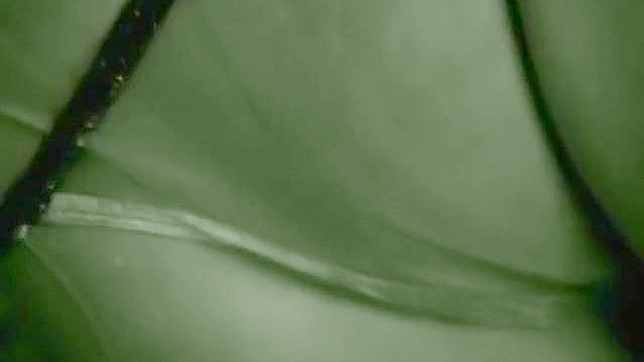 Japan's Sexiest Reo Matsuzaka Showers Seductively in JAV Heat