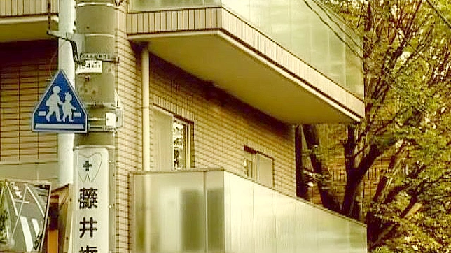 Luscious Rui Fujiki Shows Her Wildest Side in Slutty JAV Acts