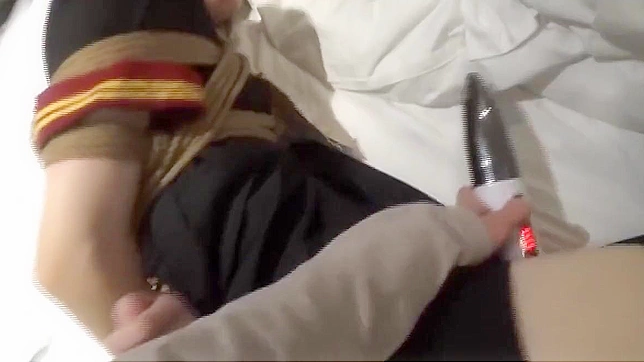 Exquisite Japanese Bondage with Luscious Enchanting Beauties