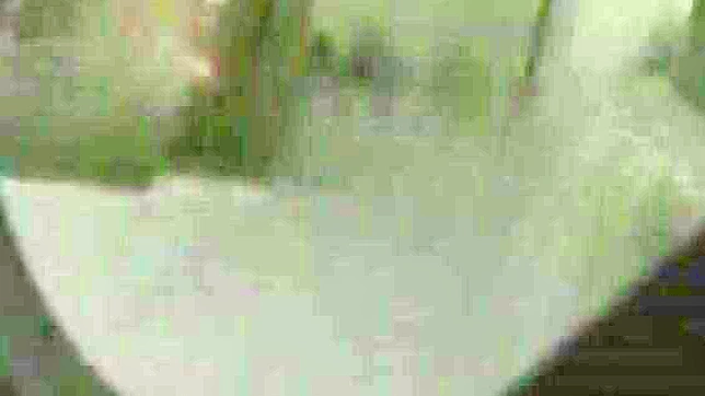 Luscious Haruki Sato Takes Loads in Raw JAV Bukkake Delight