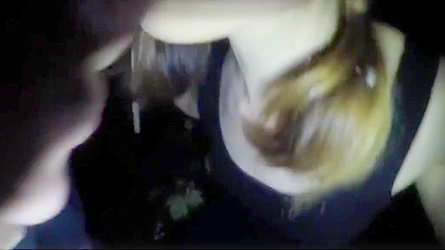 Enchanting JAV Star Shows Her Skills In Hot Doggy Style