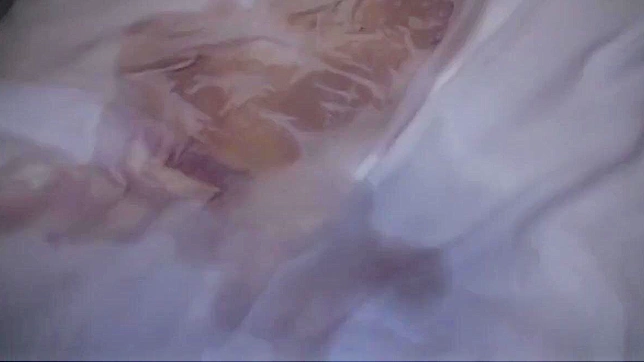 Explore Seductive JAV Stars' Irresistible Blowjob Fantasies Now