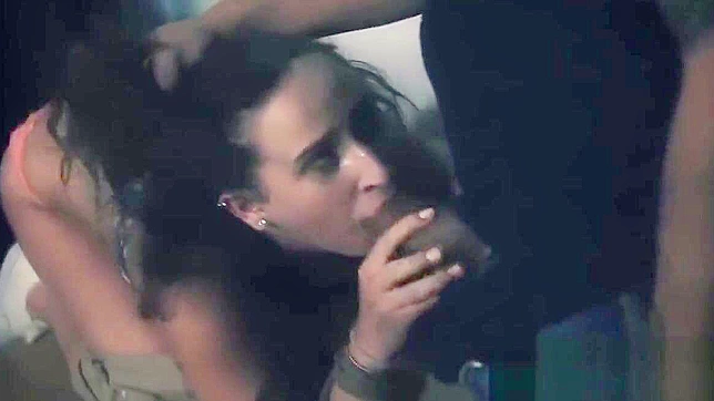Dreamy Asian Temptress Sucks Hard Cock Before Getting Fucked Deeply
