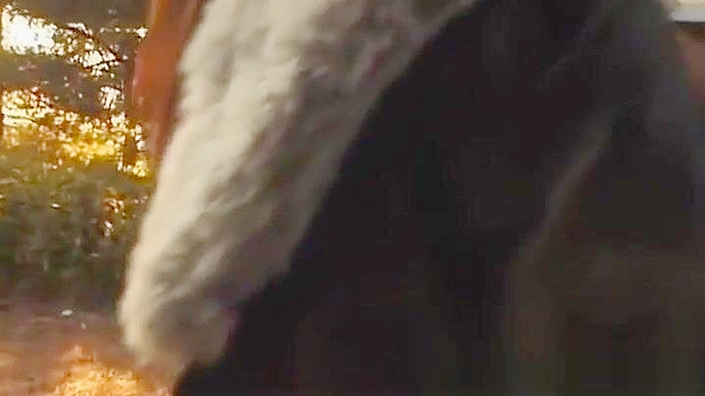 Young Japanese Temptress Sucks Hard Then Rides Him Wildly