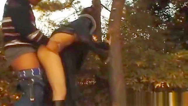 Young Japanese Temptress Sucks Hard Then Rides Him Wildly