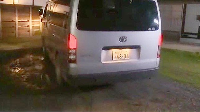 Irresistible Japanese Beauty Takes Cock Deep For Pure Ecstasy