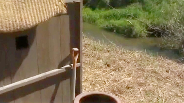 Irresistible Japanese Beauty Takes Cock Deep For Pure Ecstasy