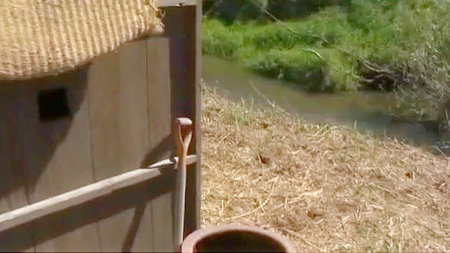 Dive Into Sensual Journeys With Our Irresistible Exotic Beauties