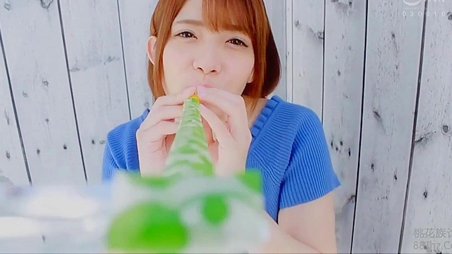 Seductive Jav Amateur Gives Blowjob & Takes Hard Cumshot