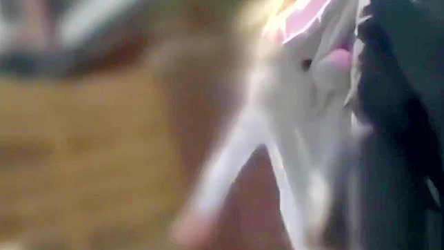 Korean Nights - Steamy Sex Adventures Await You Here!