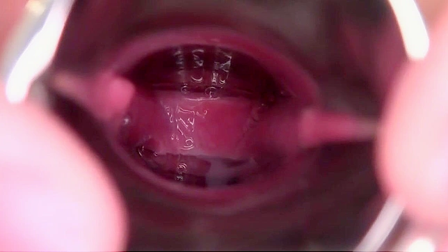 Sizzling Hot Japanese Porn Star Solo Masturbation Showdown