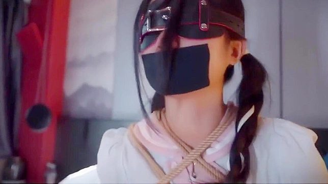 Dive Into Japan's Erotic Universe With Bundled Pleasure Journeys