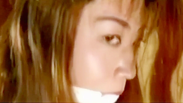 Enigmatic Japanese Vixen Entices And Seduces Deeply