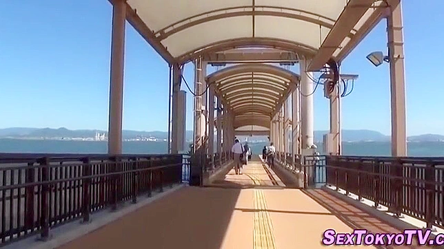Japan's Hottest Milf Seduces With Her Sultry Luscious Snatch