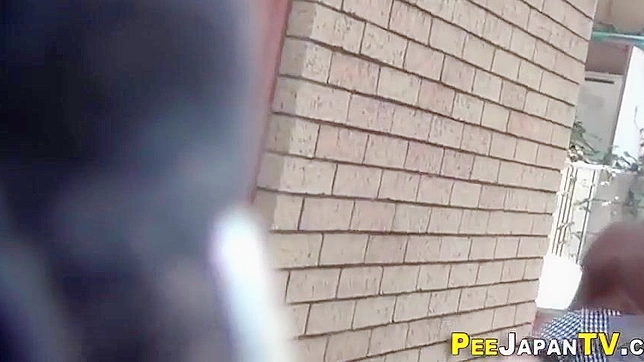 Curious Japanese Girls Brave Public Spaces For Hot Pee Show