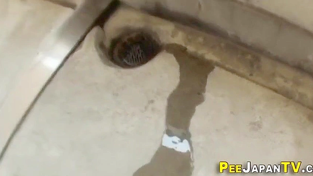 Luscious Asian Beauties Show Off Their Wet Pussies Close-Up