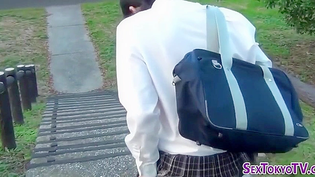 Alluring Asian Upskirts Revealed In Explicit Japanese Scenes