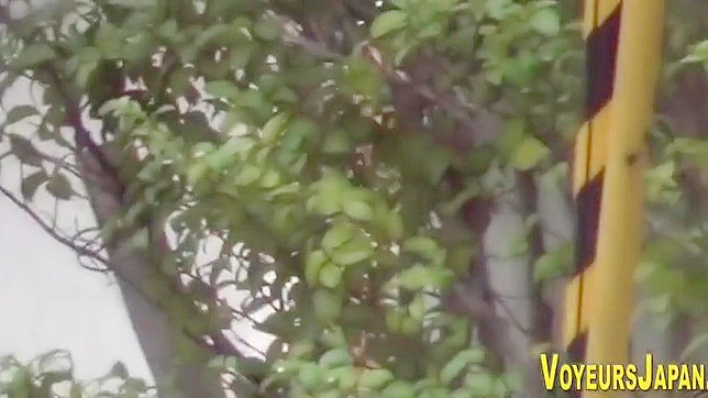 Luscious Asian Babe Reveals Her Perky Tits For Your Pleasure