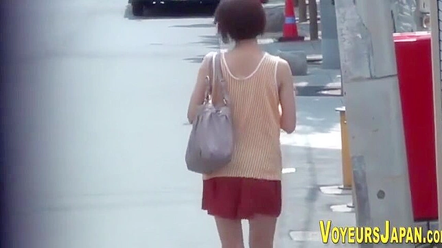 Luscious Asian Babe Reveals Her Perky Tits For Your Pleasure