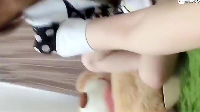 Luscious Japanese Angel Seduces Camera In Hot Webcam Showdown