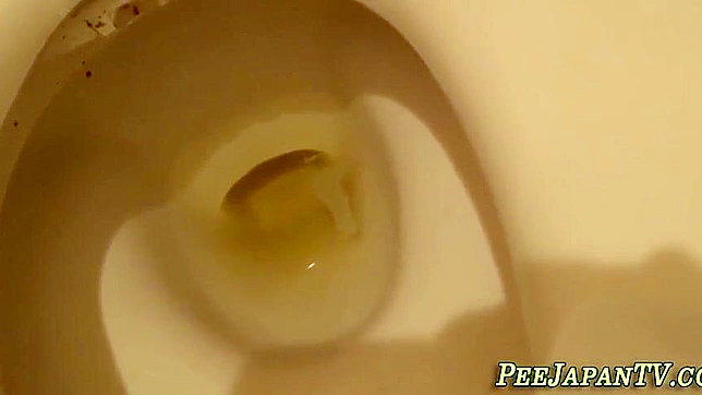 Adorable Japanese Teen Pees Into Toilet - A Visual Treat!