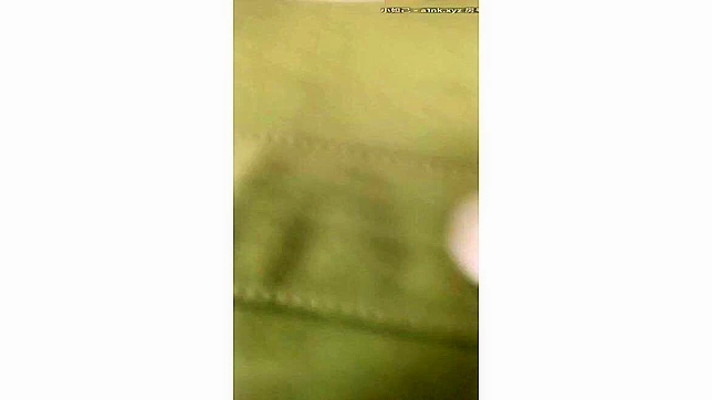 Japanese Beauty Takes Sultry Selfies & Secret Pics