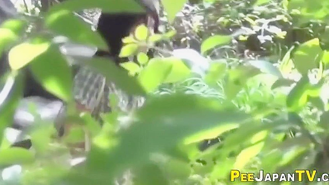 Alluring Japanese Babe Pees While Being Fucked Hardly