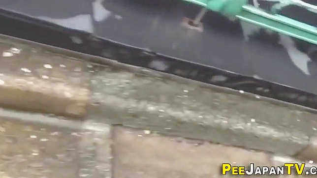 Publicly Peeing Japanese Beauty Thrills Viewers With Exposure