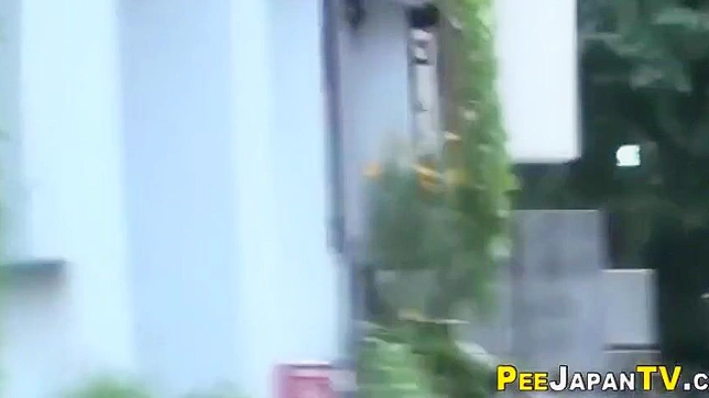 Publicly Peeing Japanese Beauty Thrills Viewers With Exposure