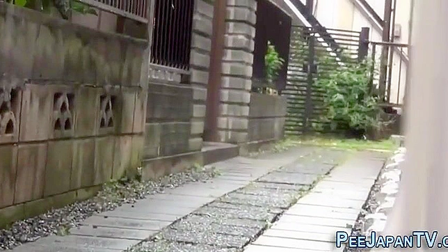 Hot Japanese Star Wears Seductive Stockings For Explicit Showdown