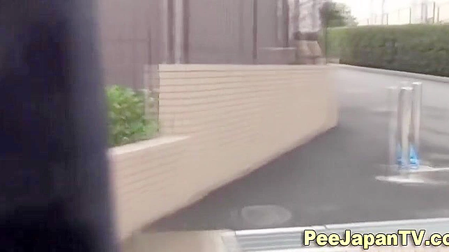 Public Wetting By Japanese Women Explores New Fetishes