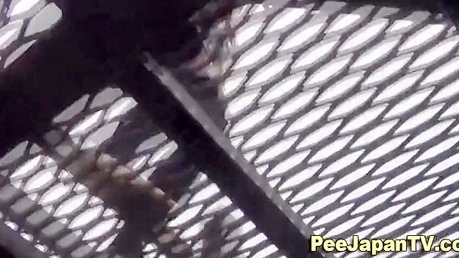 Public Wetting By Japanese Women Explores New Fetishes
