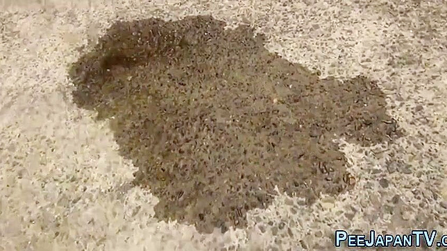 Sultry Japanese Beauty Showers With Hot Squirts And Bliss