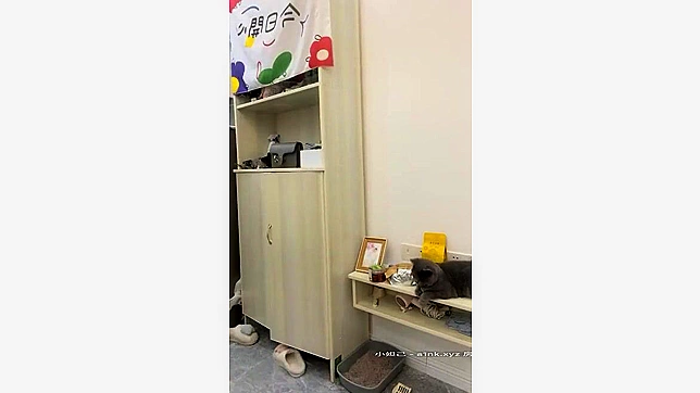 Exclusive Homemade Selfie & Sneak Shot Orgasms Galore!