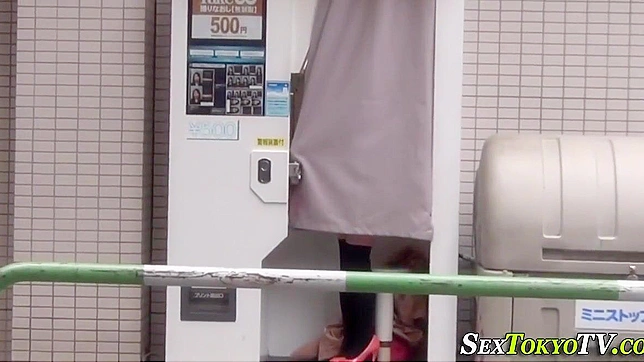 Luscious Japanese Babes Teasingly Flash Their Sexy Cunt Underwear