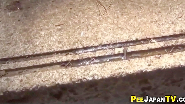 Hot Japanese Star Wetting Her Pants Seductively On-Cam