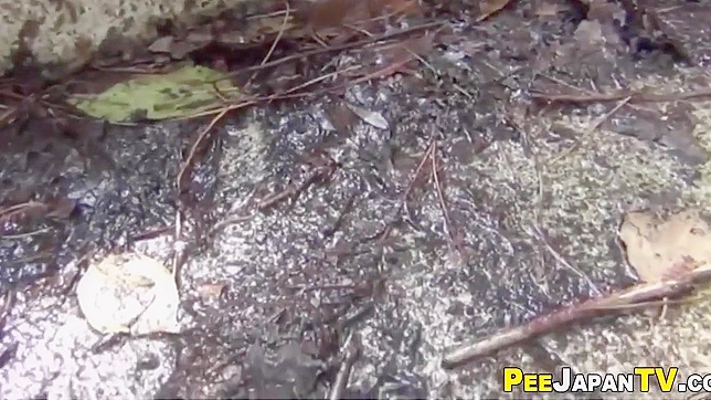 Hot Japanese Star Wetting Her Pants Seductively On-Cam