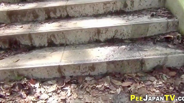 Hot Japanese Star Wetting Her Pants Seductively On-Cam