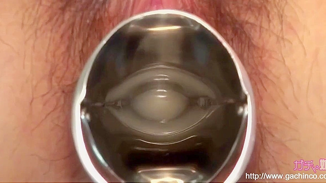 Alluring Juicy Asian Pussy Treats You Like Her Sexiest Dream