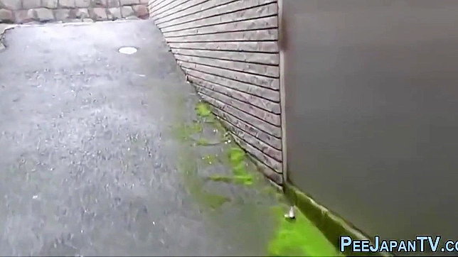 Heeled Asian Tempts With Seductive Urination Showdown