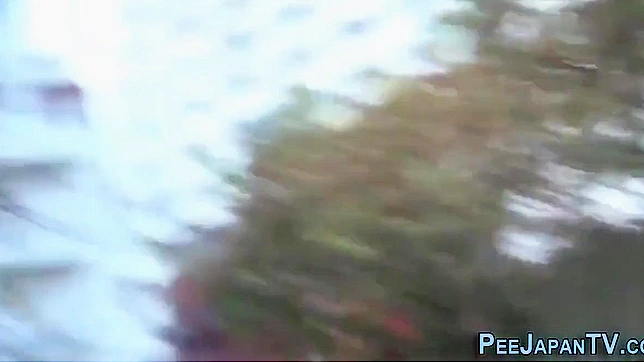 Heeled Asian Tempts With Seductive Urination Showdown