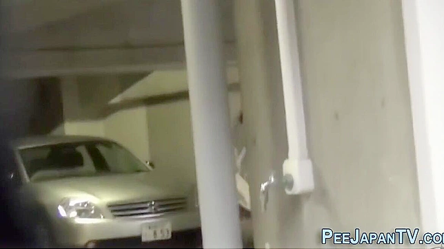 Heeled Asian Tempts With Seductive Urination Showdown