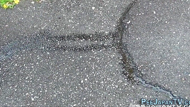 Sizzling Japanese Star Pees Publicly While Wearing High Heels