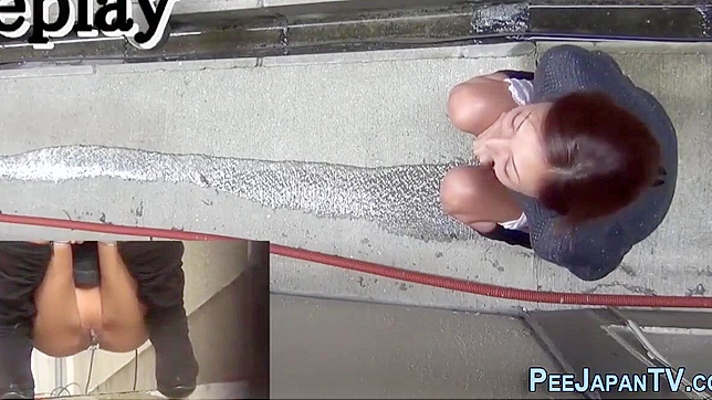Passionate Japanese Beauty Dazzles With Wet Public Sex Show